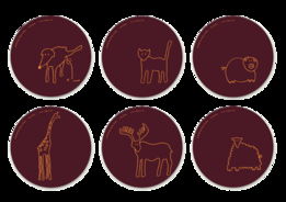 Atipus平面設(shè)計與軟件開發(fā)的跨界融合